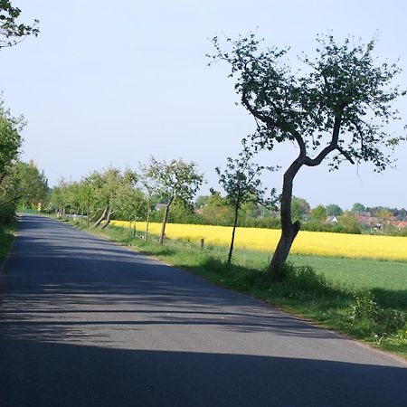 Ferienwohnung Im Grunen - Hof Blohme Langwedel  Exterior foto