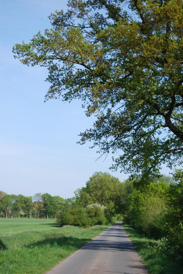 Ferienwohnung Im Grunen - Hof Blohme Langwedel  Exterior foto