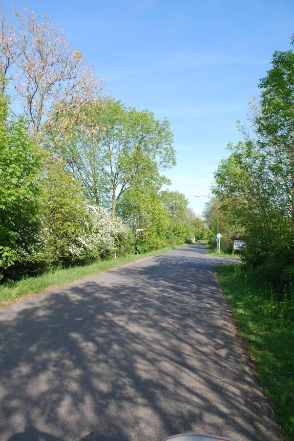 Ferienwohnung Im Grunen - Hof Blohme Langwedel  Exterior foto